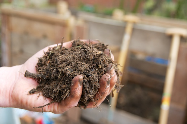 Own compost